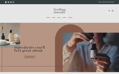 Moody Shopify Theme | Feeling Moody